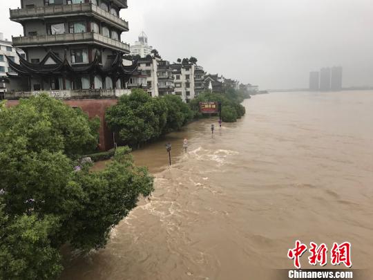 持续暴雨，兰江水位猛涨 奚金燕 摄