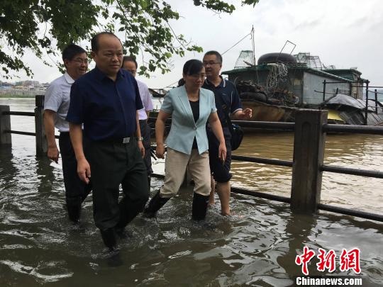 肇庆市副市长江森源、封开县县长梁健梅等到江口镇东堤低洼处指导抗洪救灾工作。　韦石明 摄