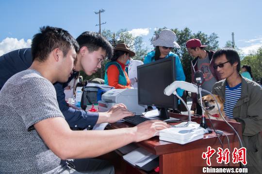 图为工作人员登记拉萨市民养犬信息 何蓬磊 摄 图为工作人员登记拉萨市民养犬信息 何蓬磊 摄